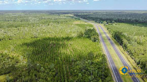 214 Acres of Recreational Land for Sale in Homerville, Georgia
