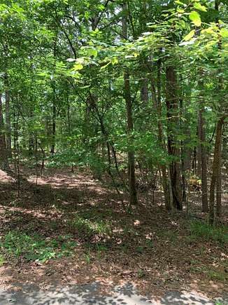 0.34 Acres of Residential Land for Sale in Hot Springs Village, Arkansas