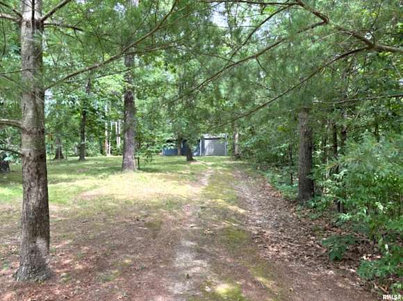 5 Acres of Land for Sale in Iuka, Illinois