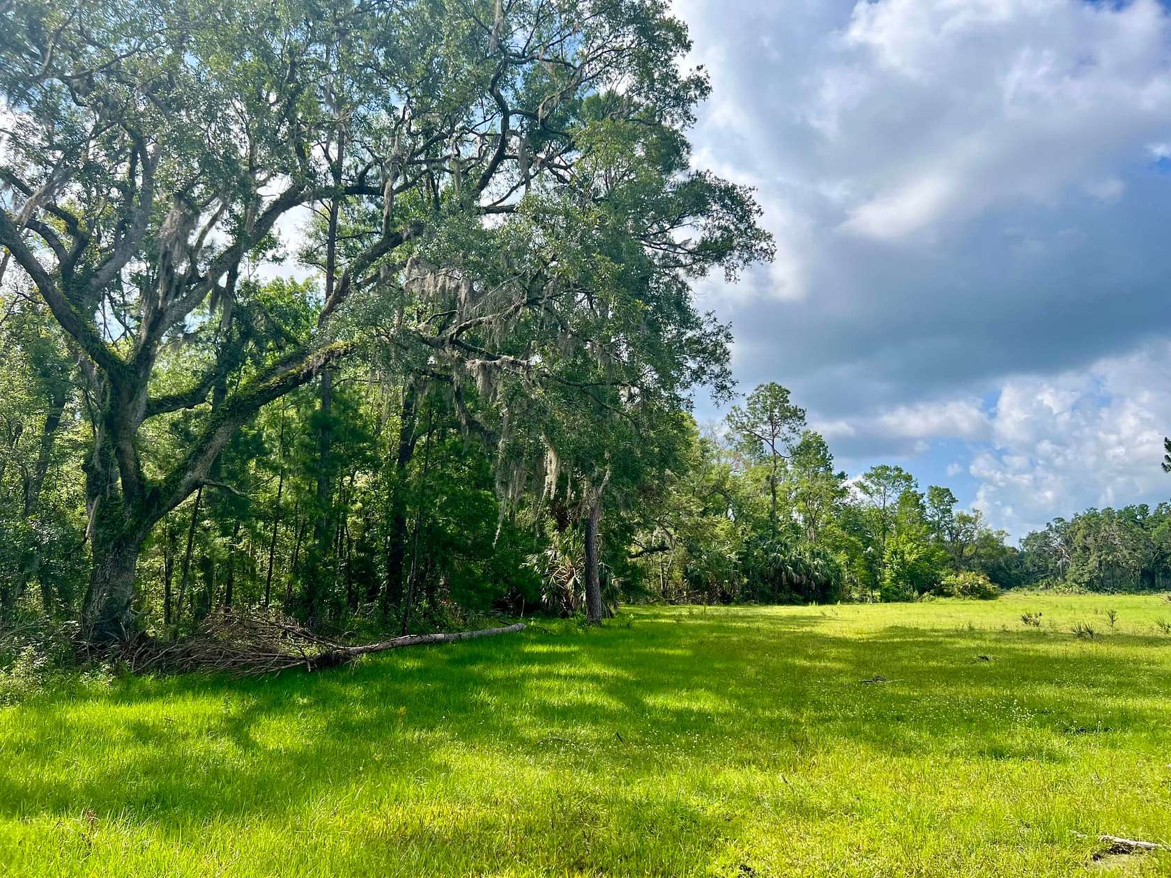 15 Acres of Recreational Land for Sale in Perry, Florida