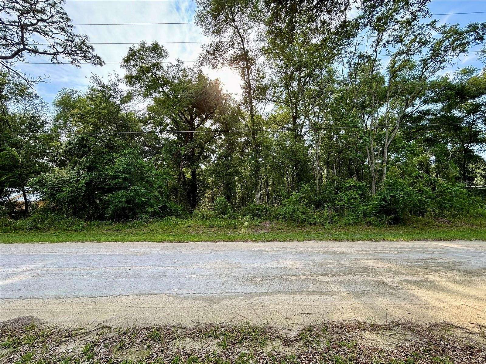 1.42 Acres of Residential Land for Sale in Webster, Florida