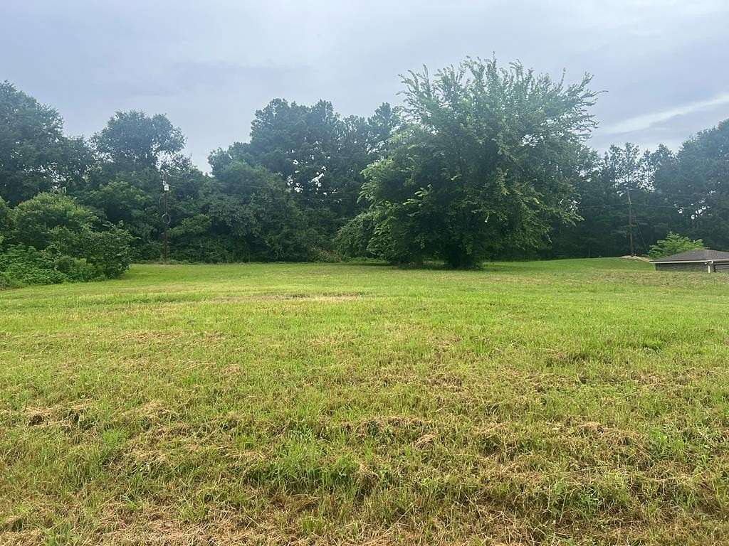 1 Acre of Commercial Land for Sale in Palestine, Texas