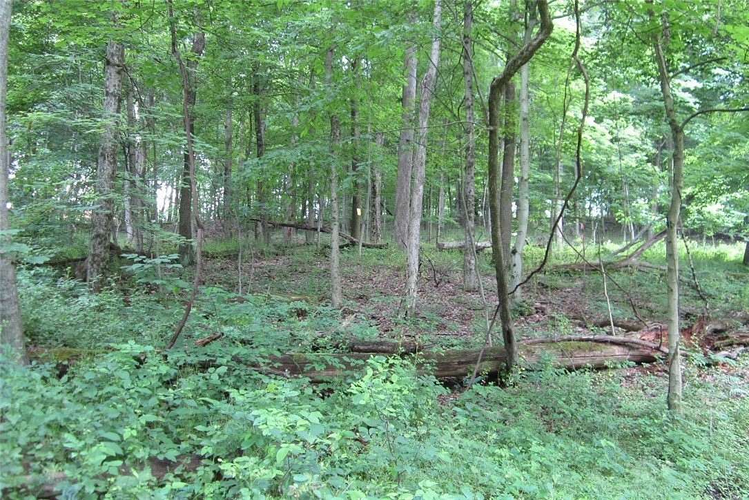 42.04 Acres of Land for Sale in South Franklin Township, Pennsylvania