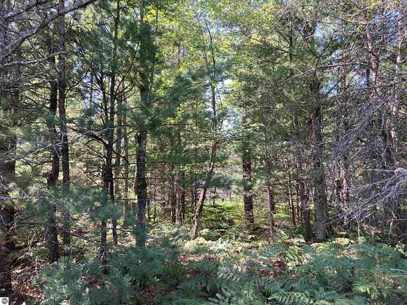 12.76 Acres of Recreational Land for Sale in West Branch, Michigan