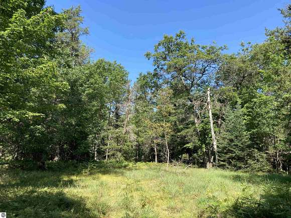 11.04 Acres of Recreational Land for Sale in West Branch, Michigan