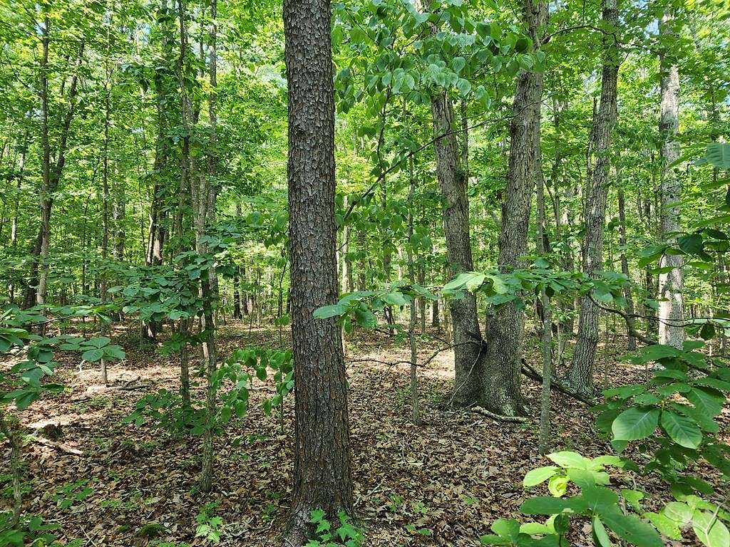 5.07 Acres of Residential Land for Sale in Pamplin City, Virginia