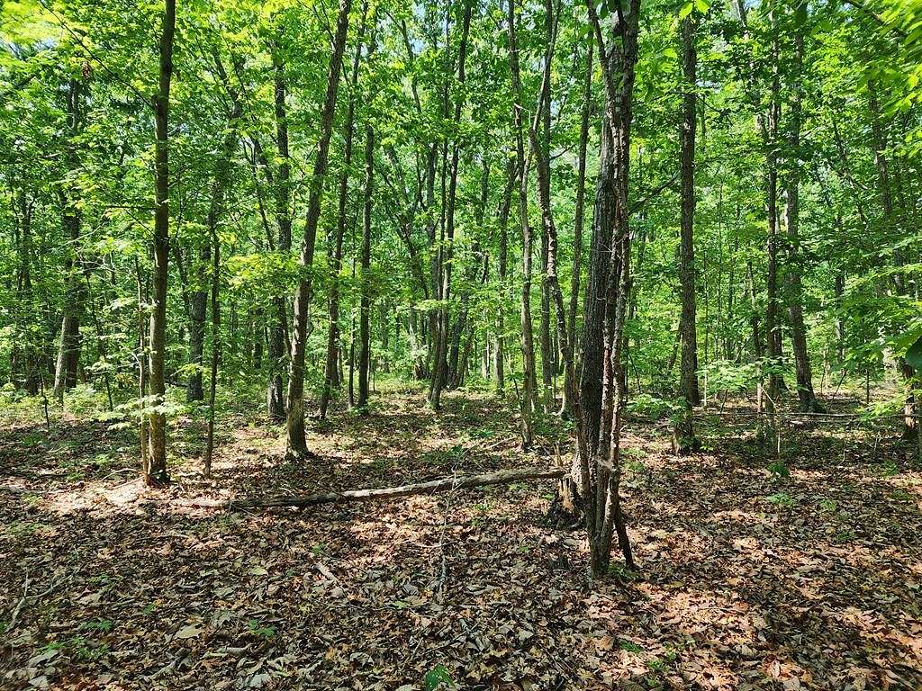 5.17 Acres of Residential Land for Sale in Pamplin City, Virginia