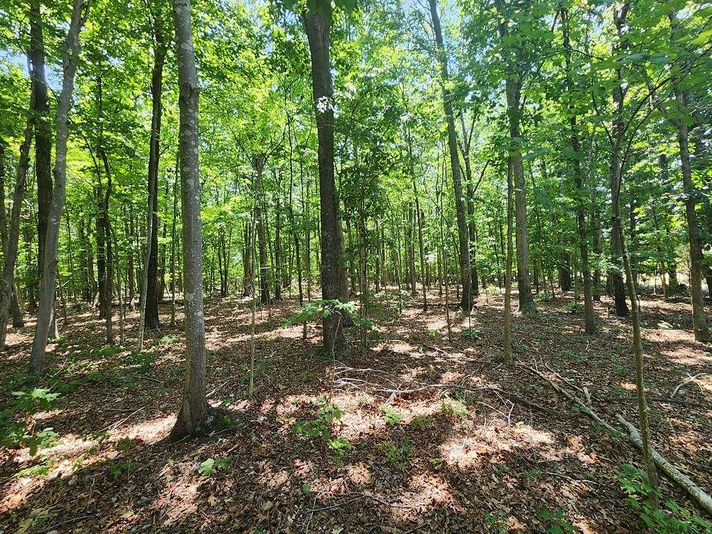 8.88 Acres of Residential Land for Sale in Pamplin City, Virginia