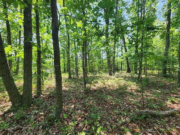 6.64 Acres of Residential Land for Sale in Pamplin City, Virginia