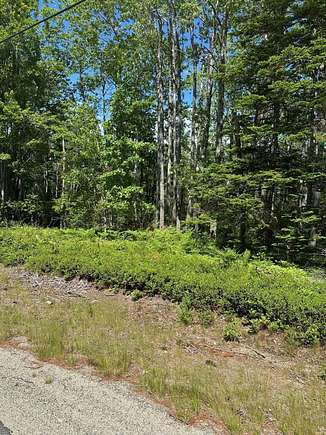 7.7 Acres of Residential Land for Sale in Harrington, Maine