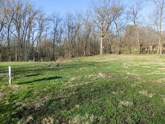 0.438 Acres of Residential Land for Sale in Tinley Park, Illinois