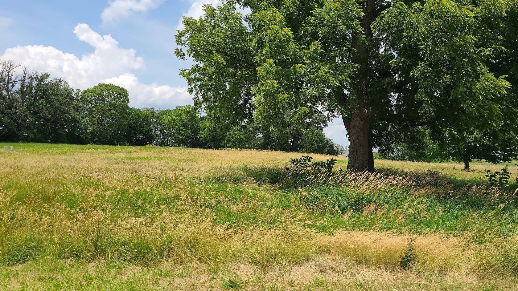 1 Acre of Residential Land for Sale in Dixon, Illinois