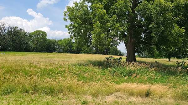 1 Acre of Residential Land for Sale in Dixon, Illinois