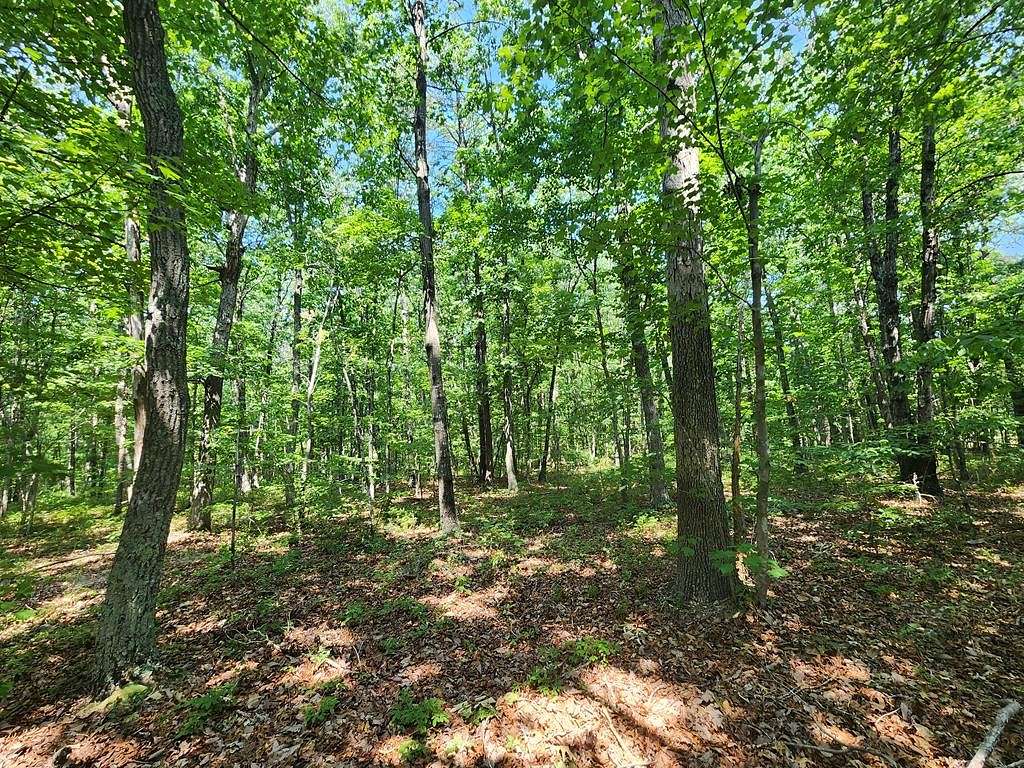 10.03 Acres of Land for Sale in Pamplin City, Virginia