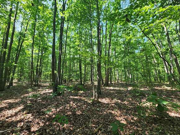 6.37 Acres of Residential Land for Sale in Pamplin City, Virginia