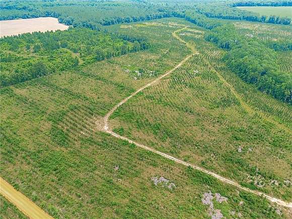 106.76 Acres of Land for Sale in Lumber City, Georgia
