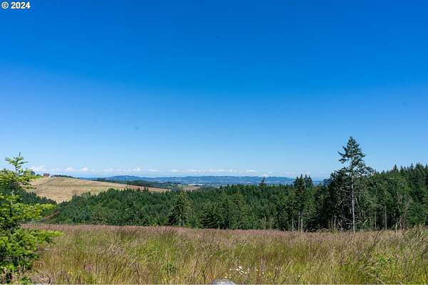 80 Acres of Land for Sale in Sheridan, Oregon