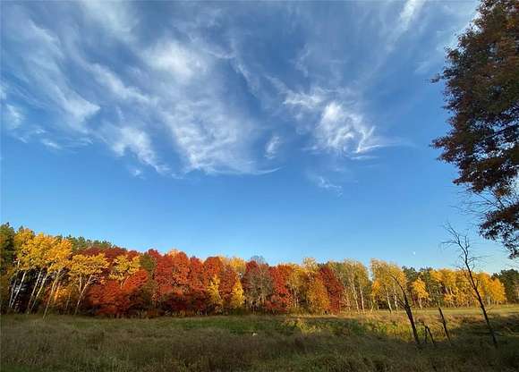 49.1 Acres of Land for Sale in Santiago Township, Minnesota