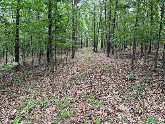 10 Acres of Recreational Land & Farm for Sale in Alton, Missouri