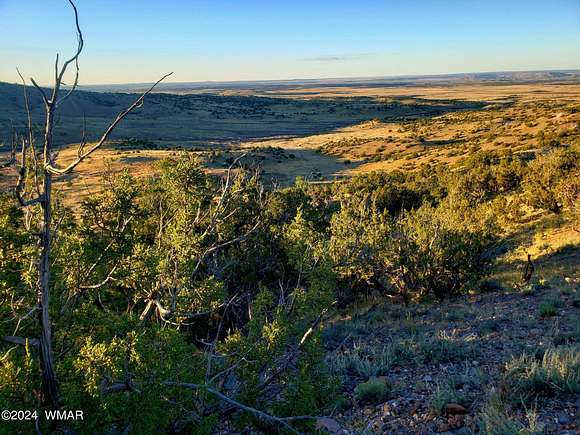 7.17 Acres of Residential Land for Sale in Concho, Arizona