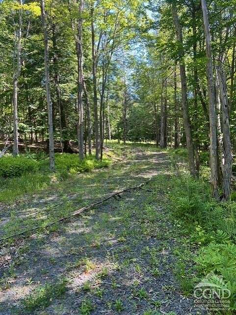 8 Acres of Land for Sale in Lexington, New York