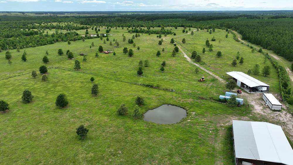540 Acres of Recreational Land for Sale in Groveton, Texas