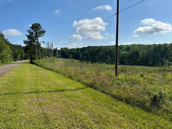 275 Acres of Land for Sale in Dry Branch, Georgia