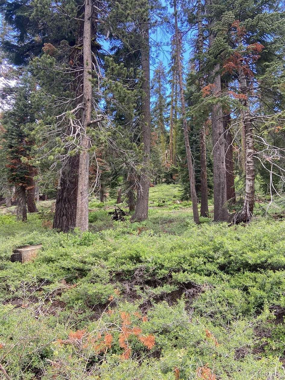 0.68 Acres of Residential Land for Sale in South Lake Tahoe, California