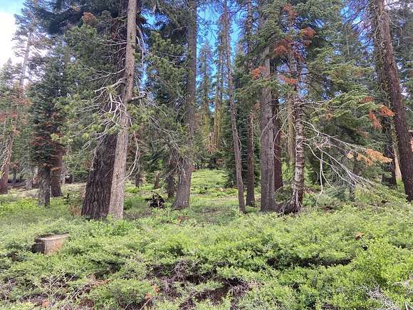 0.68 Acres of Residential Land for Sale in South Lake Tahoe, California ...