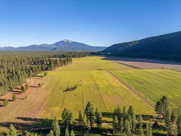 999 Acres of Land for Sale in Burney, California