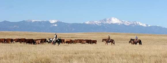 160 Acres of Land for Sale in Ellicott, Colorado