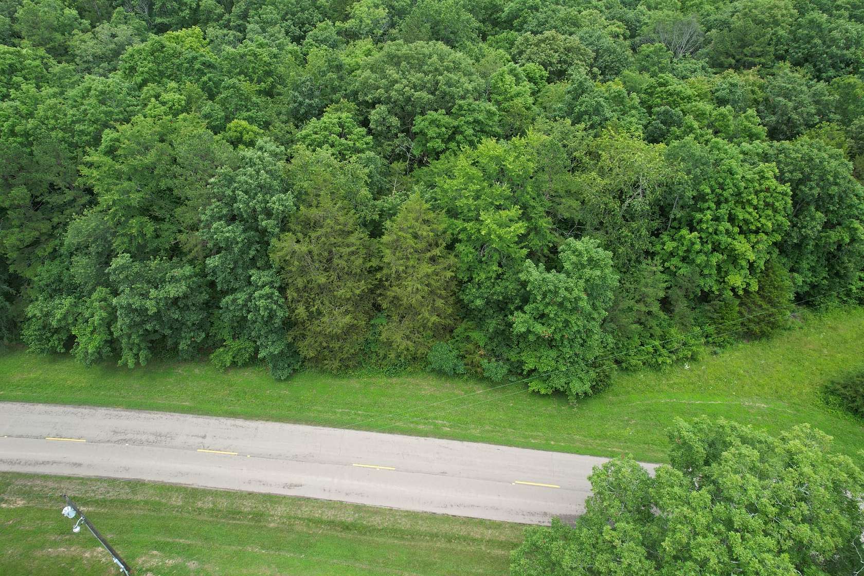 64.43 Acres of Recreational Land for Sale in Marquand, Missouri