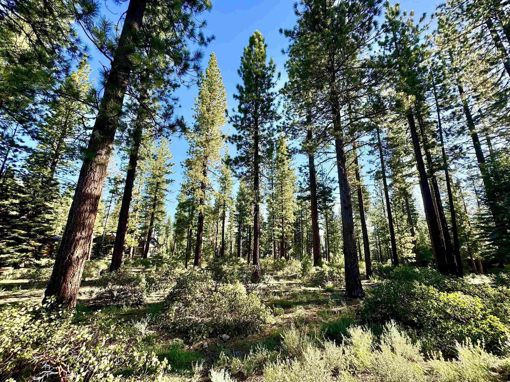 0.63 Acres of Residential Land for Sale in Truckee, California