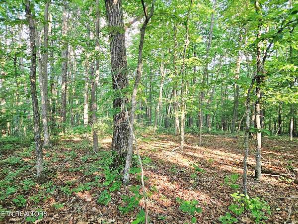 4 Acres of Residential Land for Sale in Monterey, Tennessee