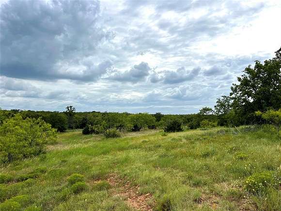 44.54 Acres of Recreational Land for Sale in Mingus, Texas