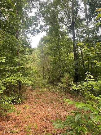 137 Acres of Land for Sale in Buchanan, Tennessee