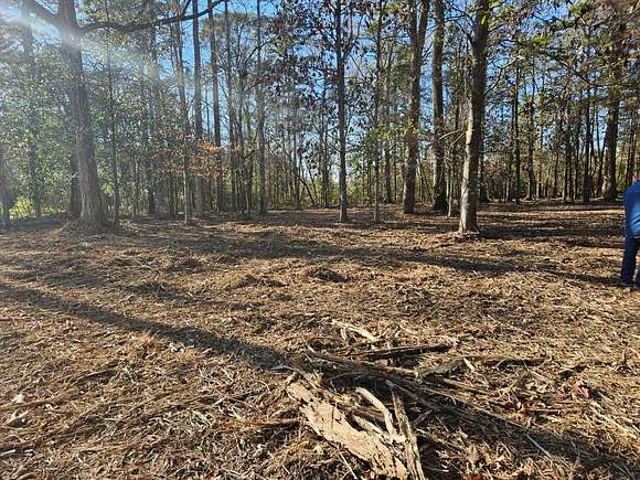 2.18 Acres of Residential Land for Sale in Denham Springs, Louisiana