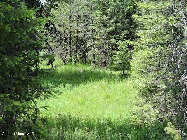 5 Acres of Residential Land for Sale in Spirit Lake, Idaho