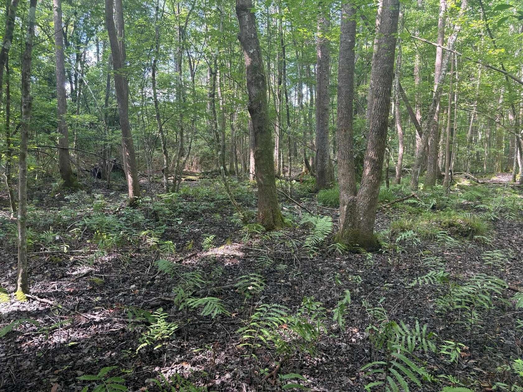 2 Acres of Residential Land for Sale in Johns Island, South Carolina