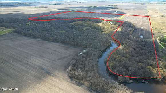 113 Acres of Agricultural Land for Auction in Thief River Falls, Minnesota