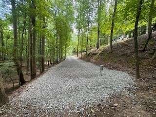 0.01 Acres of Land for Sale in Ellijay, Georgia