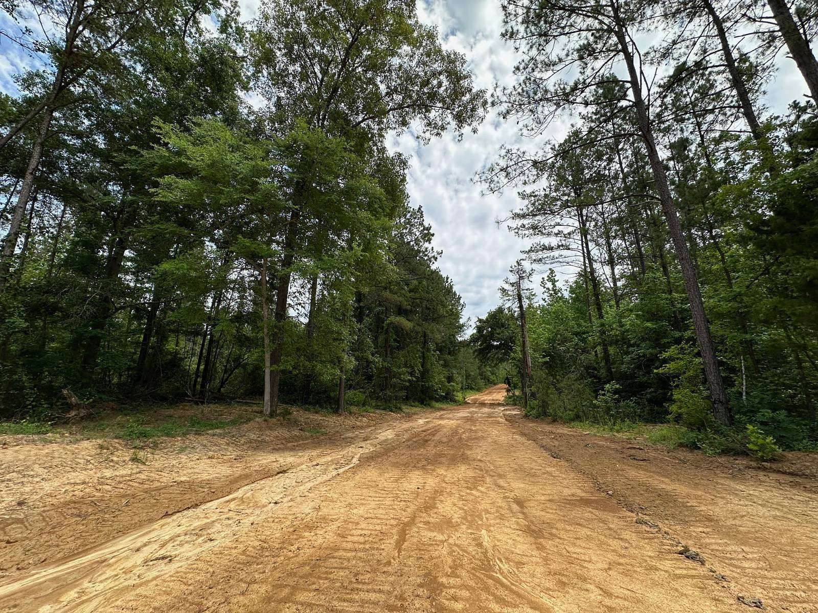 30.35 Acres of Recreational Land for Sale in Canton, Mississippi