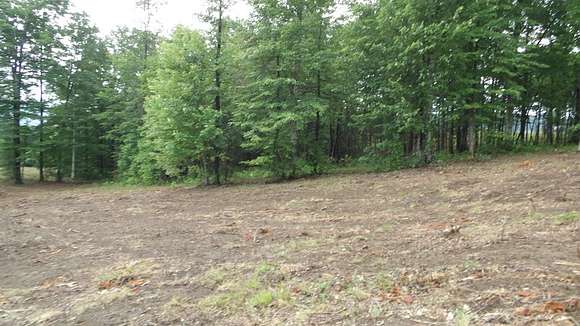 9.14 Acres of Residential Land for Sale in Wilder, Tennessee