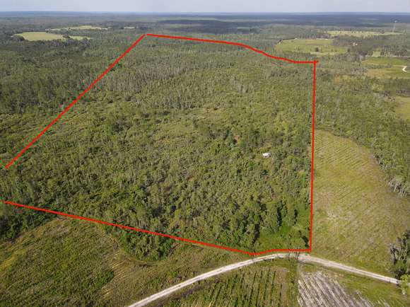 100.59 Acres of Recreational Land for Sale in Greenville, Florida