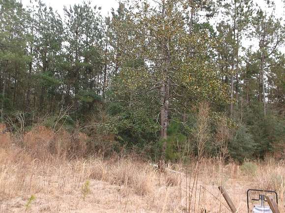 2.5 Acres of Land for Sale in McComb, Mississippi