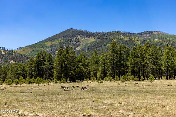 5 Acres of Residential Land for Sale in Flagstaff, Arizona