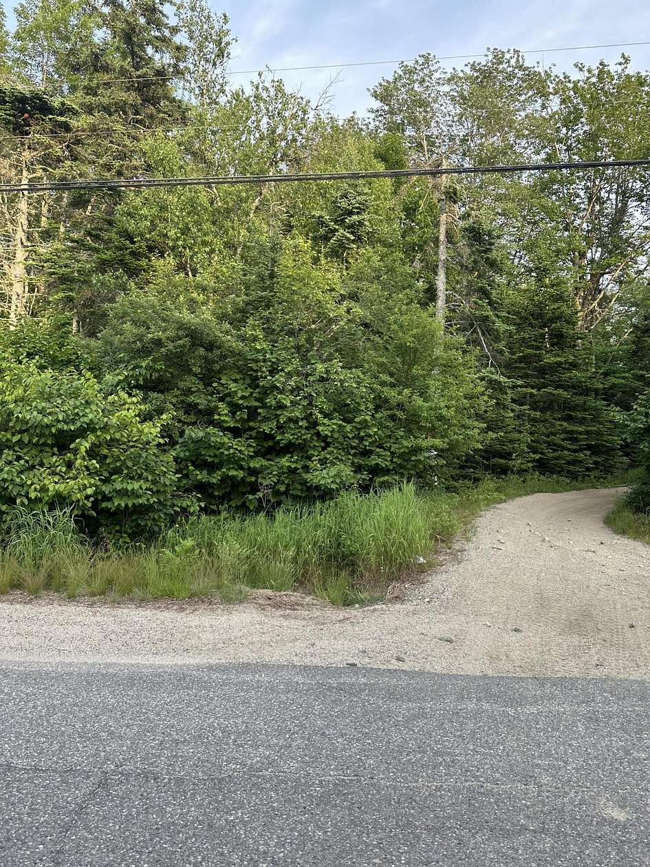 30 Acres of Land for Sale in Cherryfield, Maine