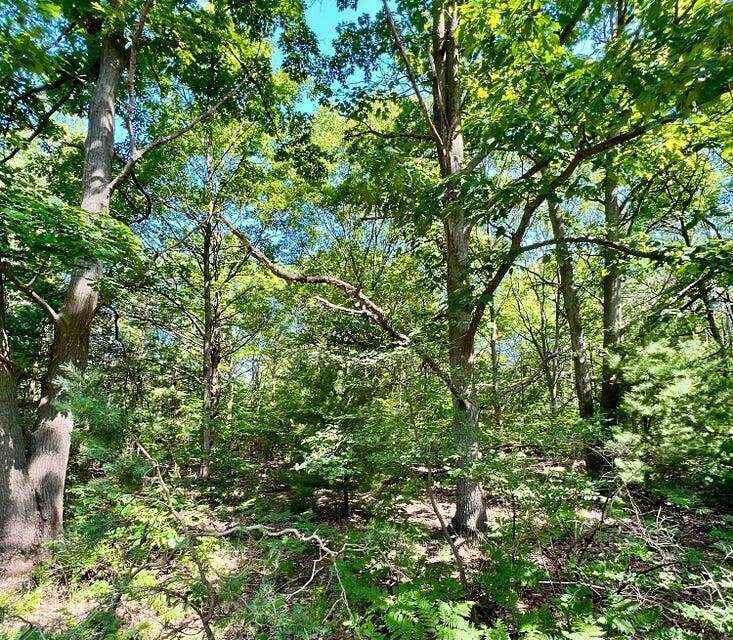 37 Acres of Land for Sale in West Olive, Michigan
