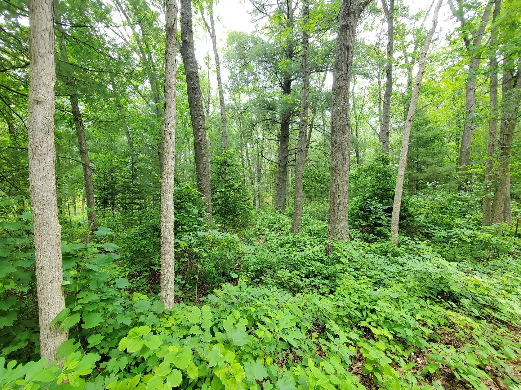 0.27 Acres of Land for Sale in Pullman, Michigan