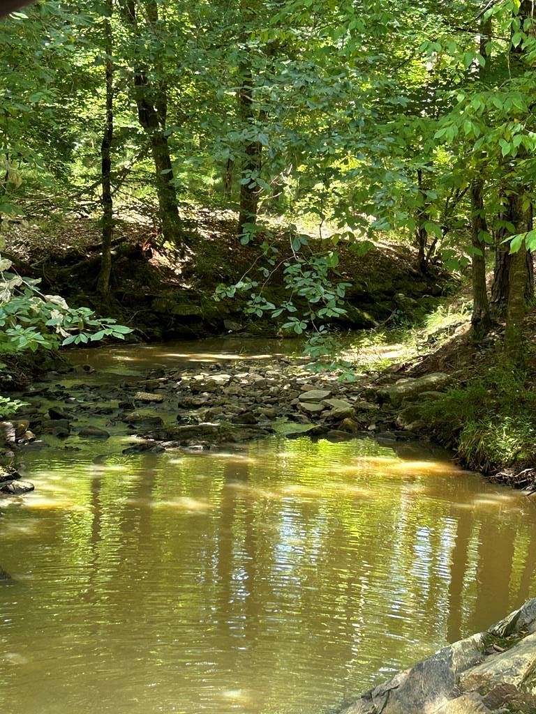 45.6 Acres of Recreational Land for Sale in Fortson, Georgia